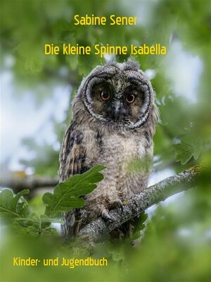 cover image of Die kleine Spinne Isabella